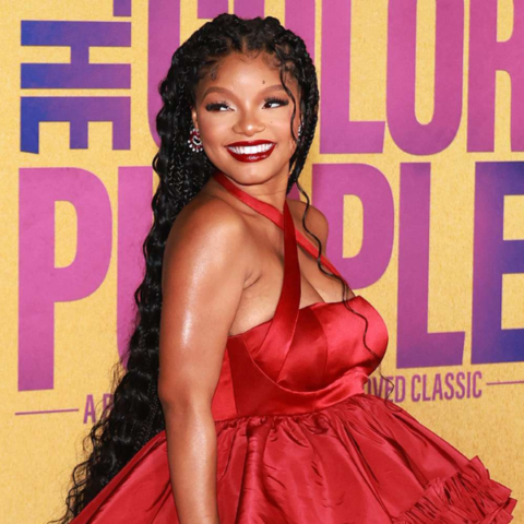 Halle Bailey Pregnancy