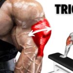 6 Exercises for Stronger Triceps