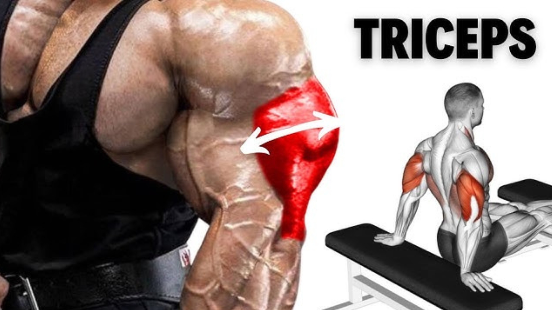 6 Exercises for Stronger Triceps